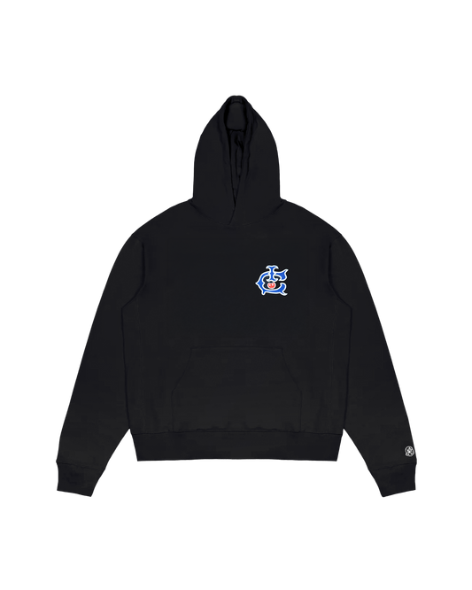 Team IC Logo Hoodie